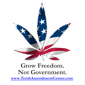 Grow Freedom Not Government